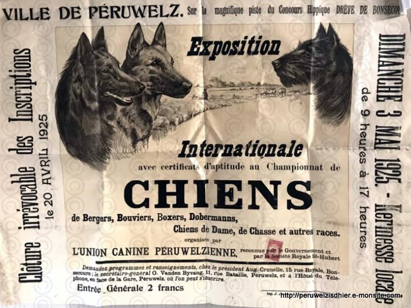 1 expositions de chiens 3 mai 1925